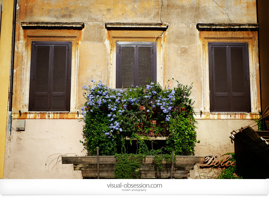 Rome Trip 2010 – Konrad’s Personal – photo 16