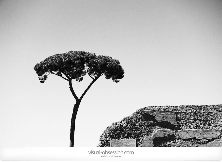 Rome Trip 2010 – Konrad’s Personal – photo 43
