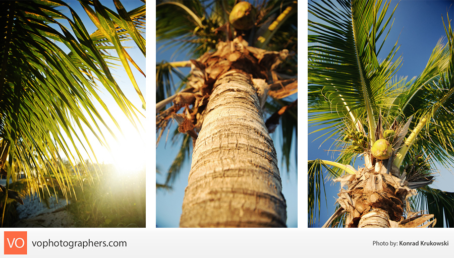 Destination Bahamas – Konrad’s Personal – photo 2