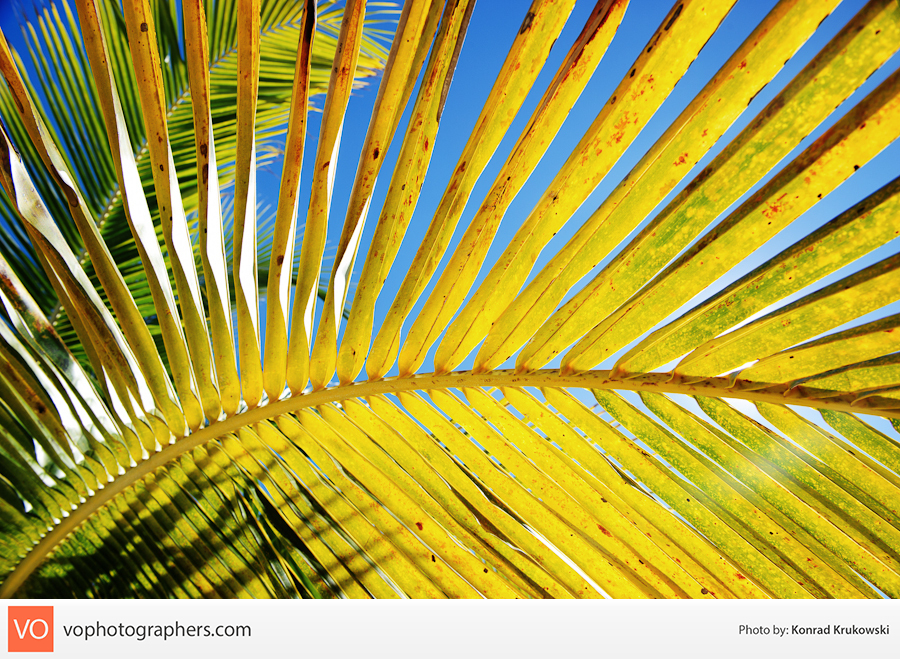 Destination Bahamas – Konrad’s Personal – photo 4