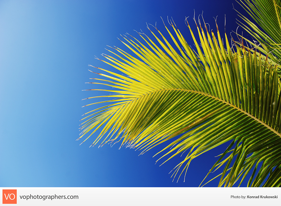 Destination Bahamas – Konrad’s Personal – photo 5