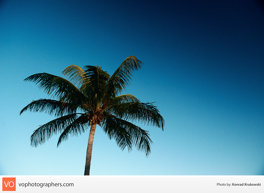 Destination Bahamas – Konrad’s Personal – photo 6