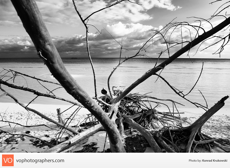 Destination Bahamas – Konrad’s Personal – photo 12