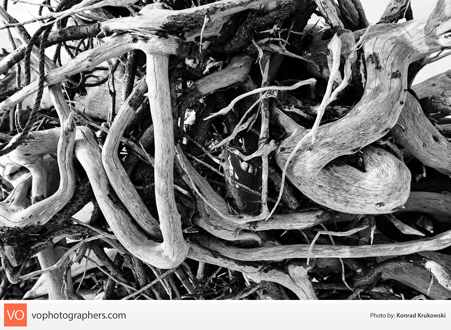 Destination Bahamas – Konrad’s Personal – photo 13