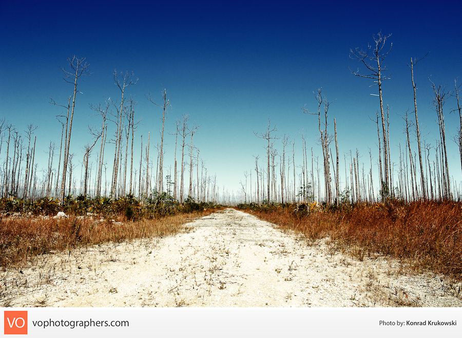 Destination Bahamas – Konrad’s Personal – photo 22