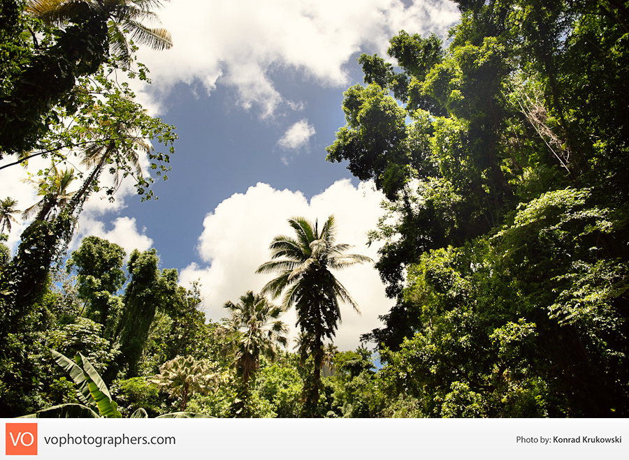 St. Lucia Getaway – Konrad’s Personal – photo 10