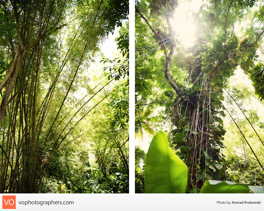 St. Lucia Getaway – Konrad’s Personal – photo 11