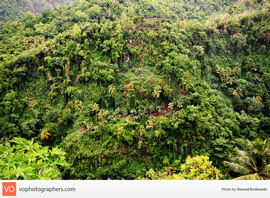 St. Lucia Getaway – Konrad’s Personal – photo 45