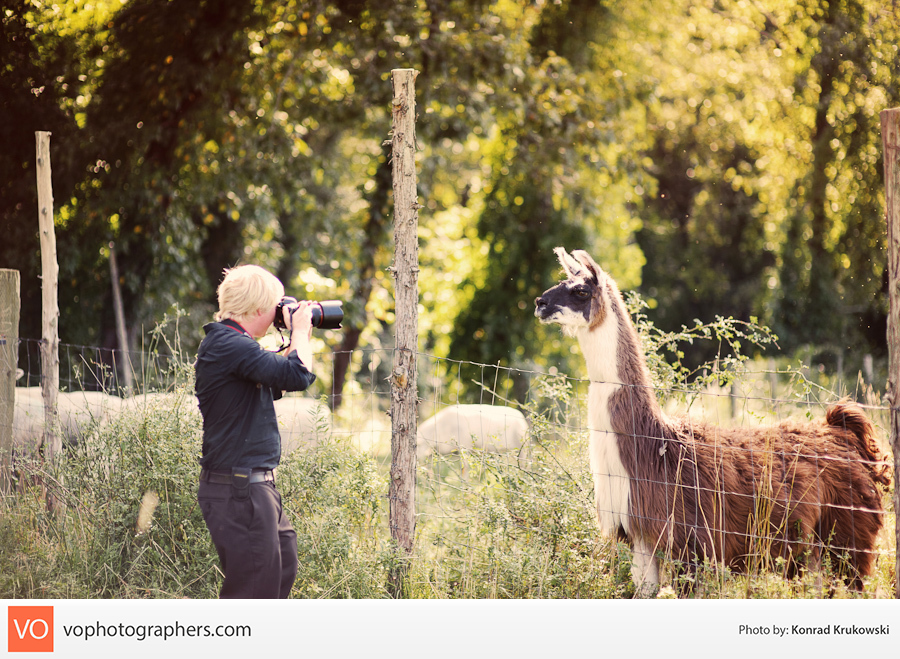 Kristen + Ryan – Wallingford Backyard Wedding – photo 50