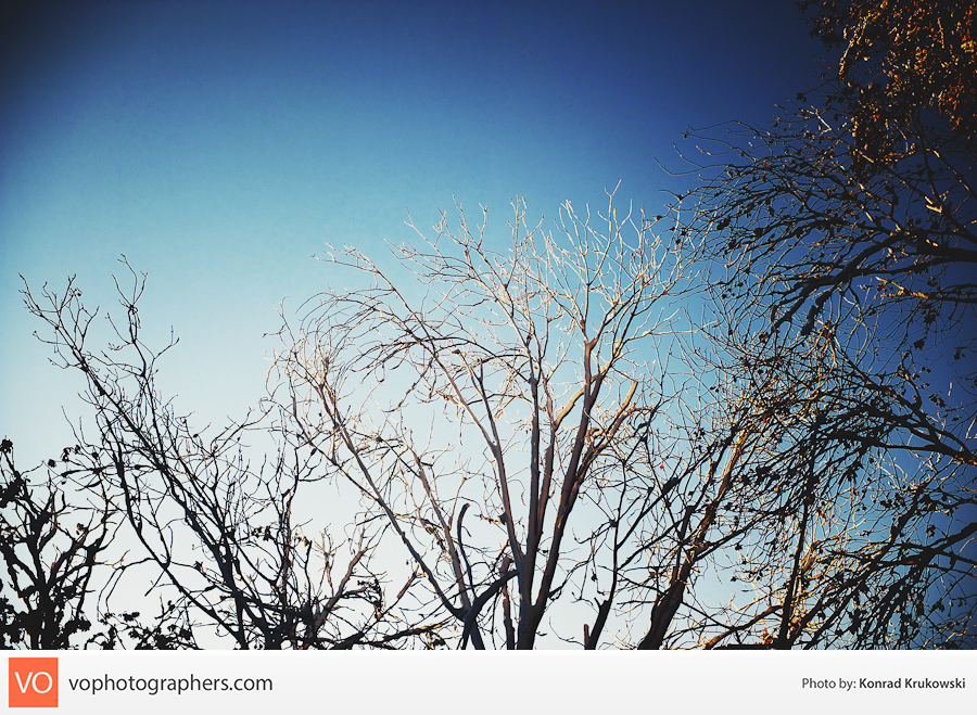 Snowy October Surprise – Konrad’s Personal – photo 2
