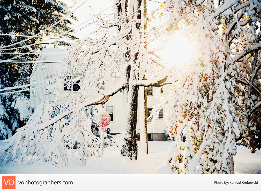 Snowy October Surprise – Konrad’s Personal – photo 4