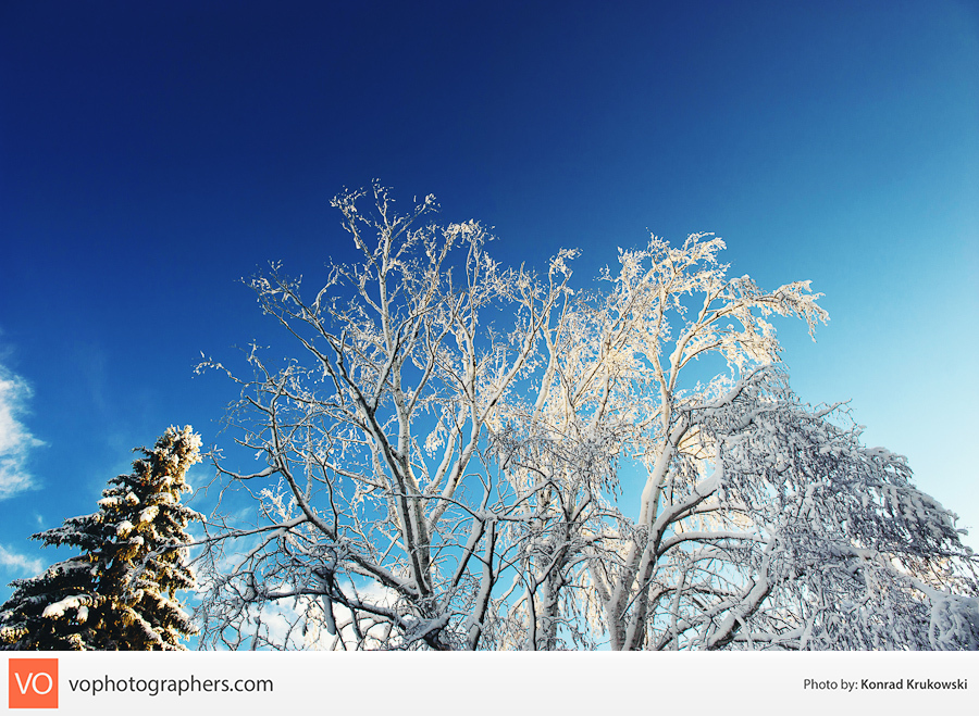 Snowy October Surprise – Konrad’s Personal – photo 7