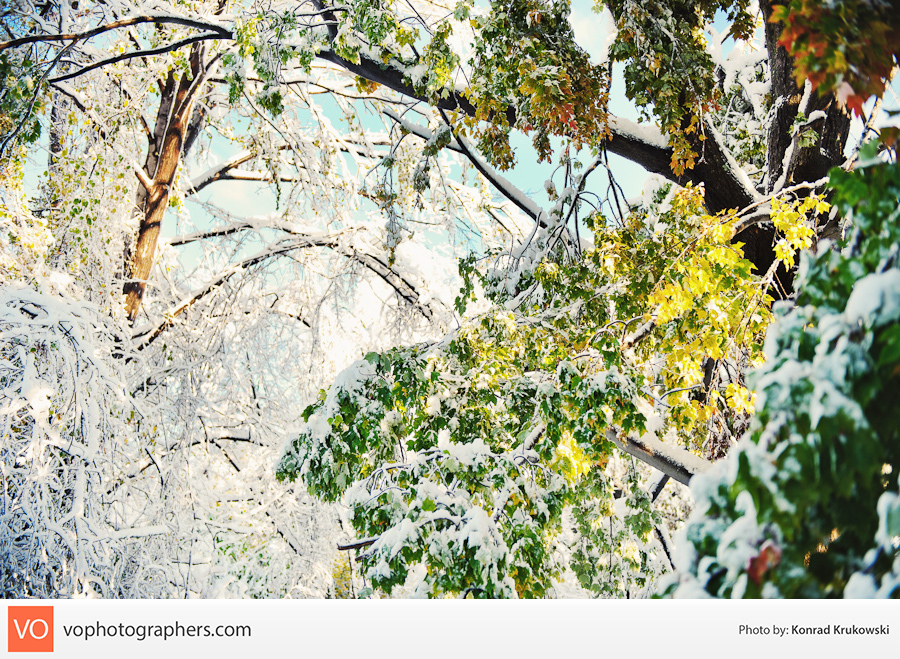 Snowy October Surprise – Konrad’s Personal – photo 11