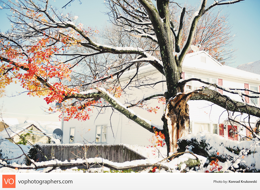 Snowy October Surprise – Konrad’s Personal – photo 12
