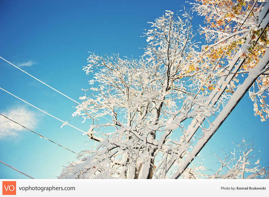 Snowy October Surprise – Konrad’s Personal – photo 14
