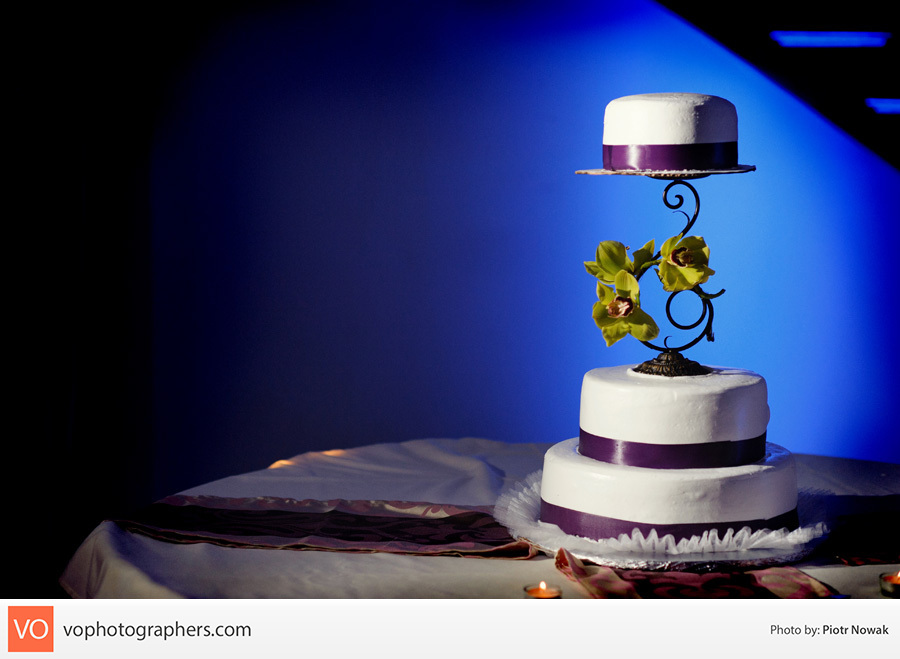 Apeksha + Hemal – Indian Wedding at La Renaissance – photo 68