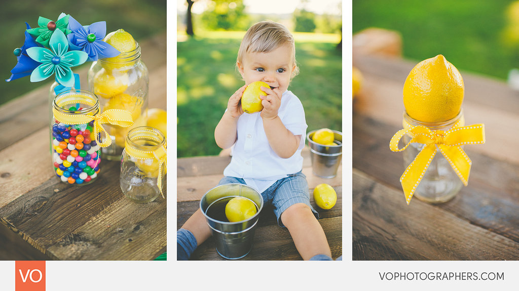 Summer Lemonade Stand – Mini Sessions – photo 6