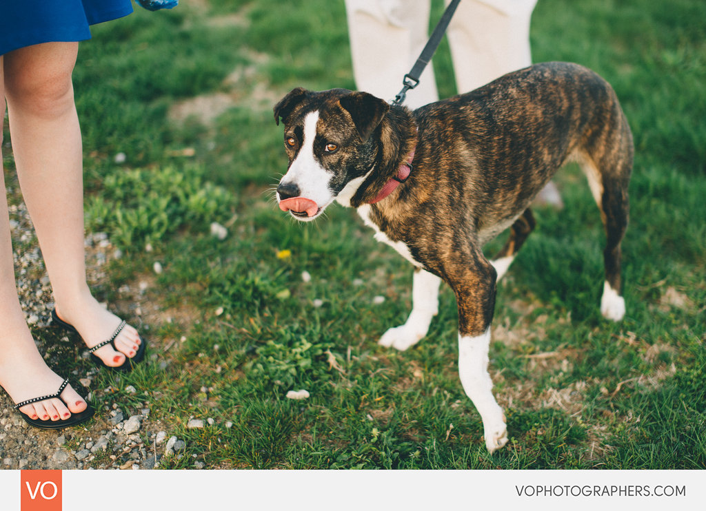Harkness Memorial Engagement – Shannon + Dan – photo 9