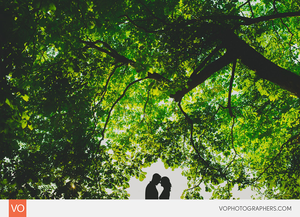 Best of 2014 Vophotographers 0015 Vo – photo 15