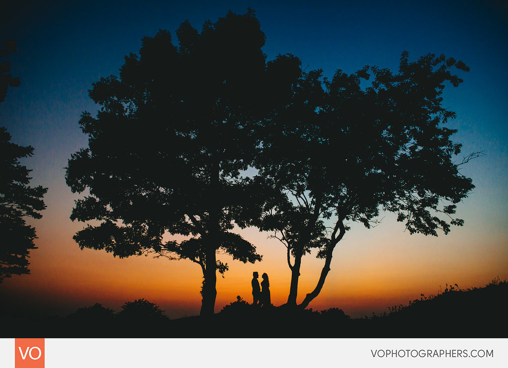 Best of 2014 Vophotographers 0025 Vo – photo 25