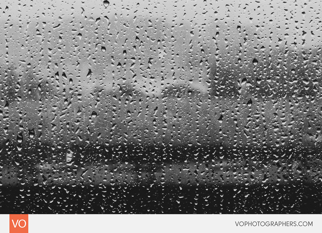 Best of 2014 Vophotographers 0034 Vo – photo 34