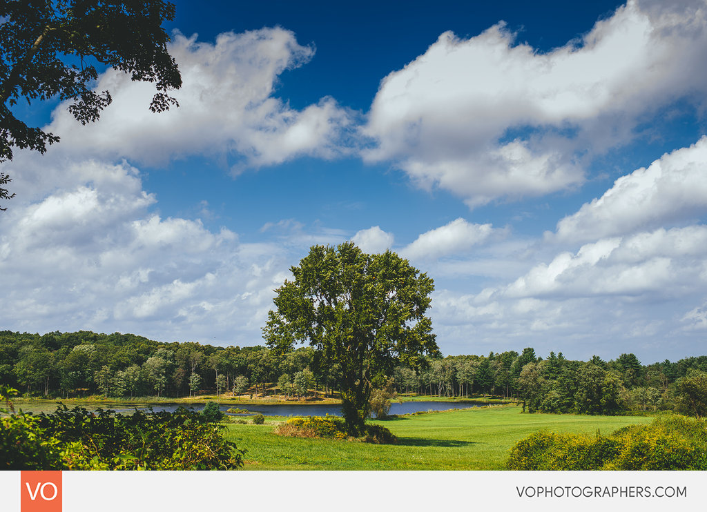 Best of 2014 Vophotographers 0040 Vo – photo 40