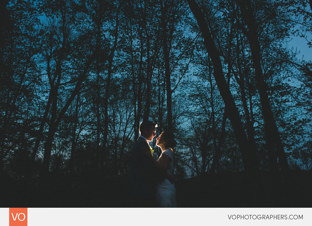 Best of 2014 Vophotographers 0047 Vo – photo 47