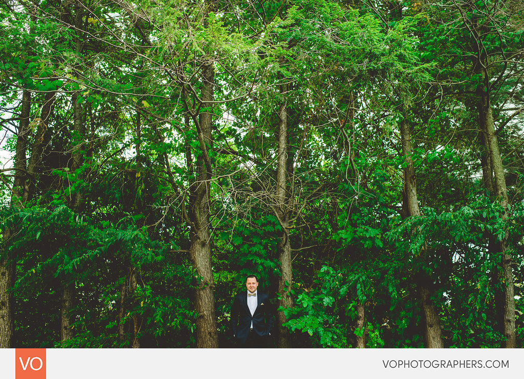 Best of 2014 Vophotographers 0052 Vo – photo 52