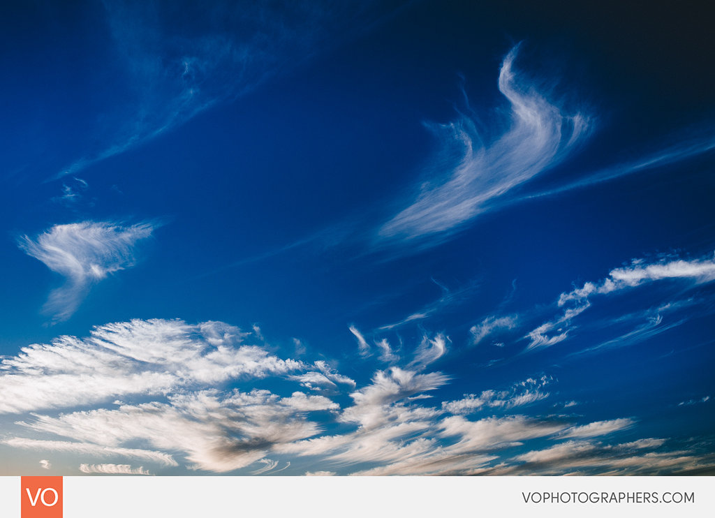 Best of 2014 Vophotographers 0098 Vo – photo 98