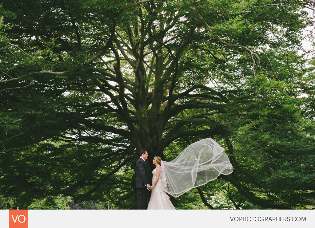 Best of 2014 Vophotographers 0107 Vo – photo 107