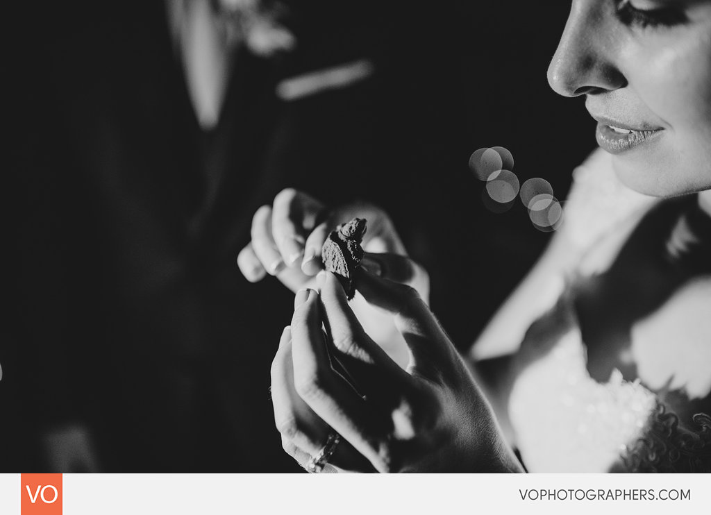 Best of 2014 Vophotographers 0188 Vo – photo 188