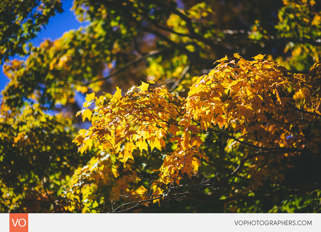 harkness_eolia_mansion_wedding_0020