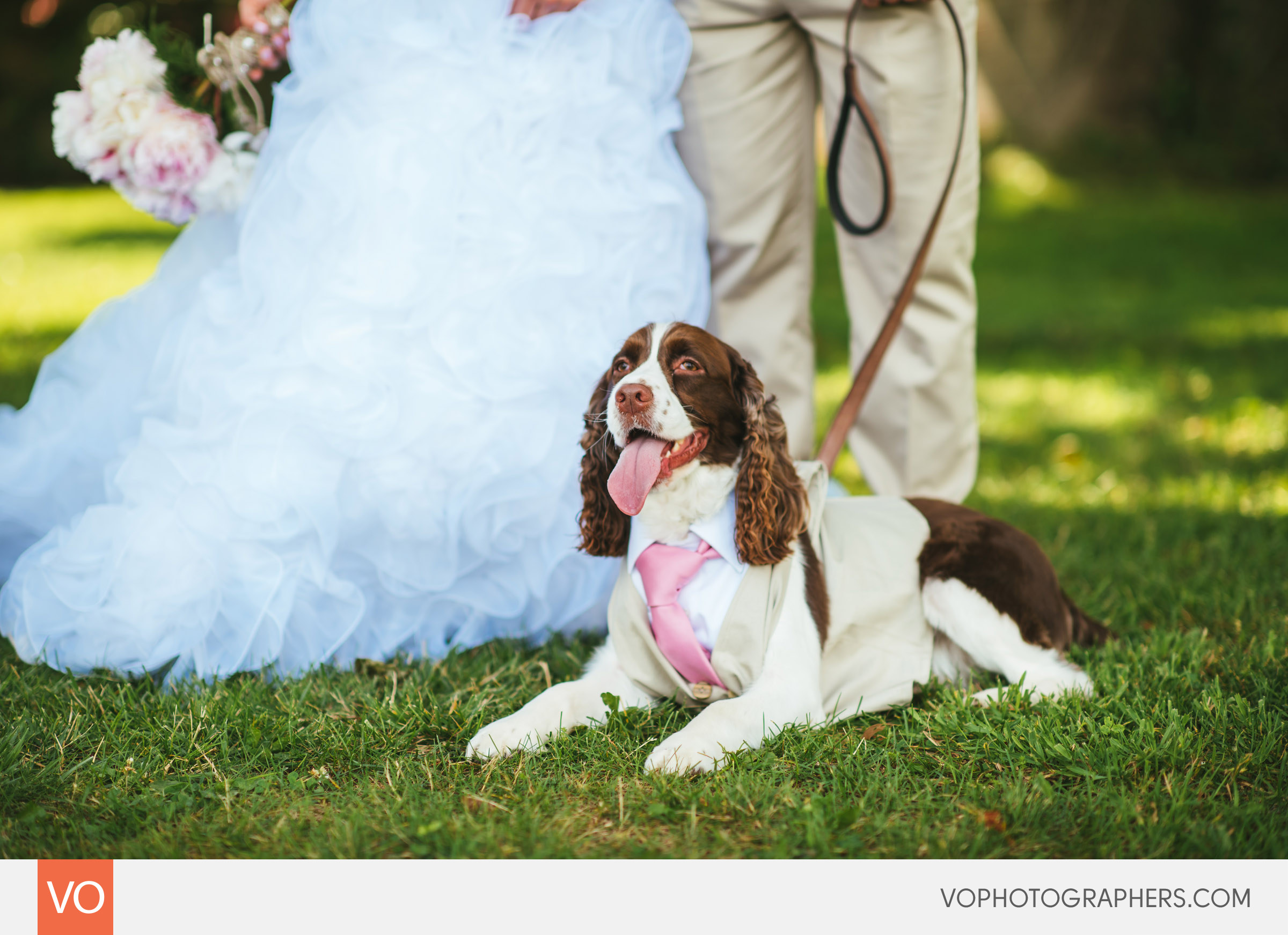 Harkness-Park-Eolia-Mansion-Wedding-Krista-Dan-0028