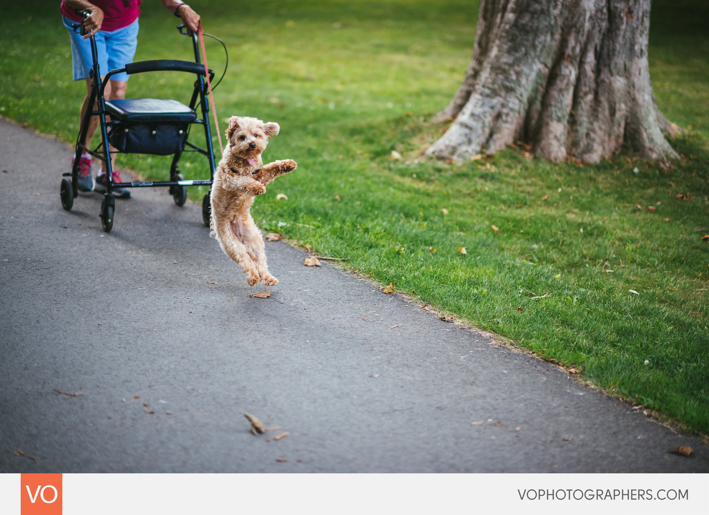ct-wedding-photographers-0045