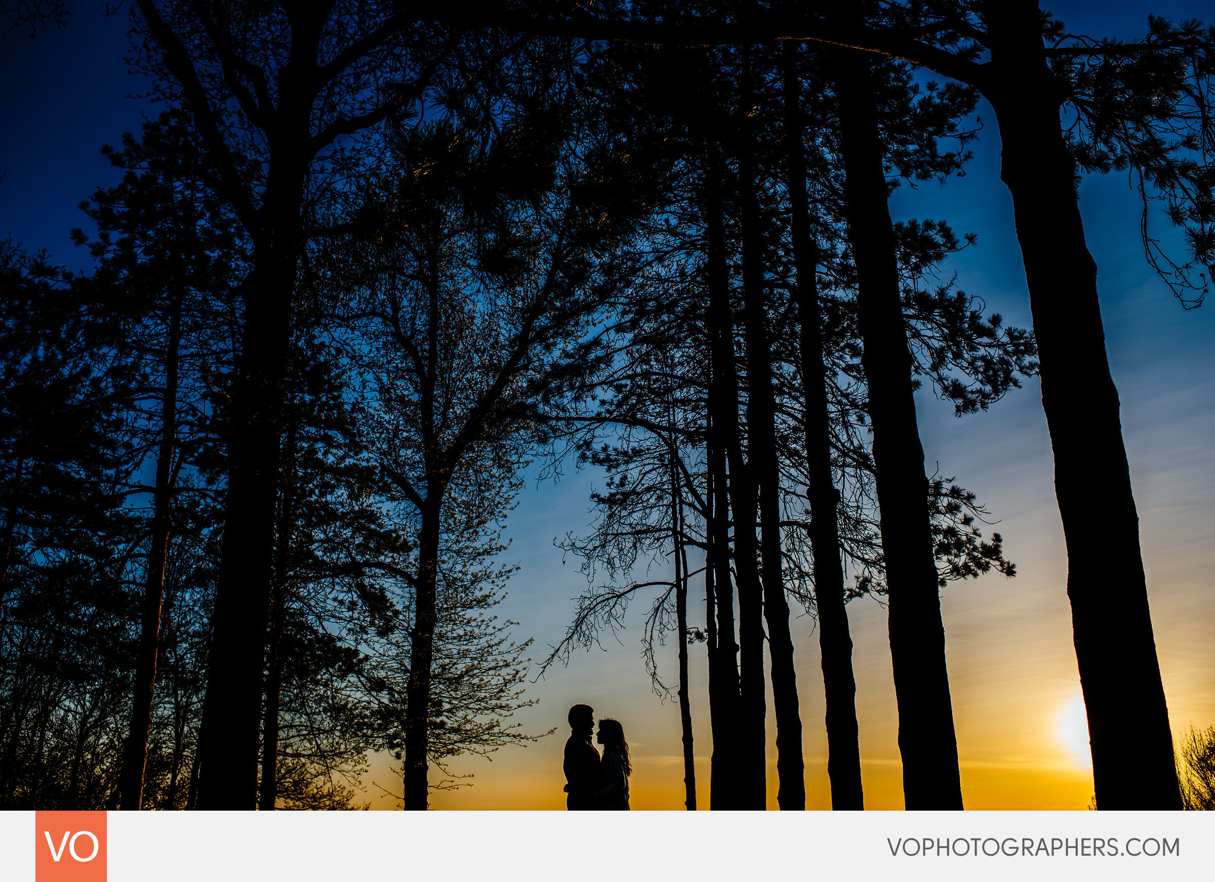 Wickham Park Engagement Session