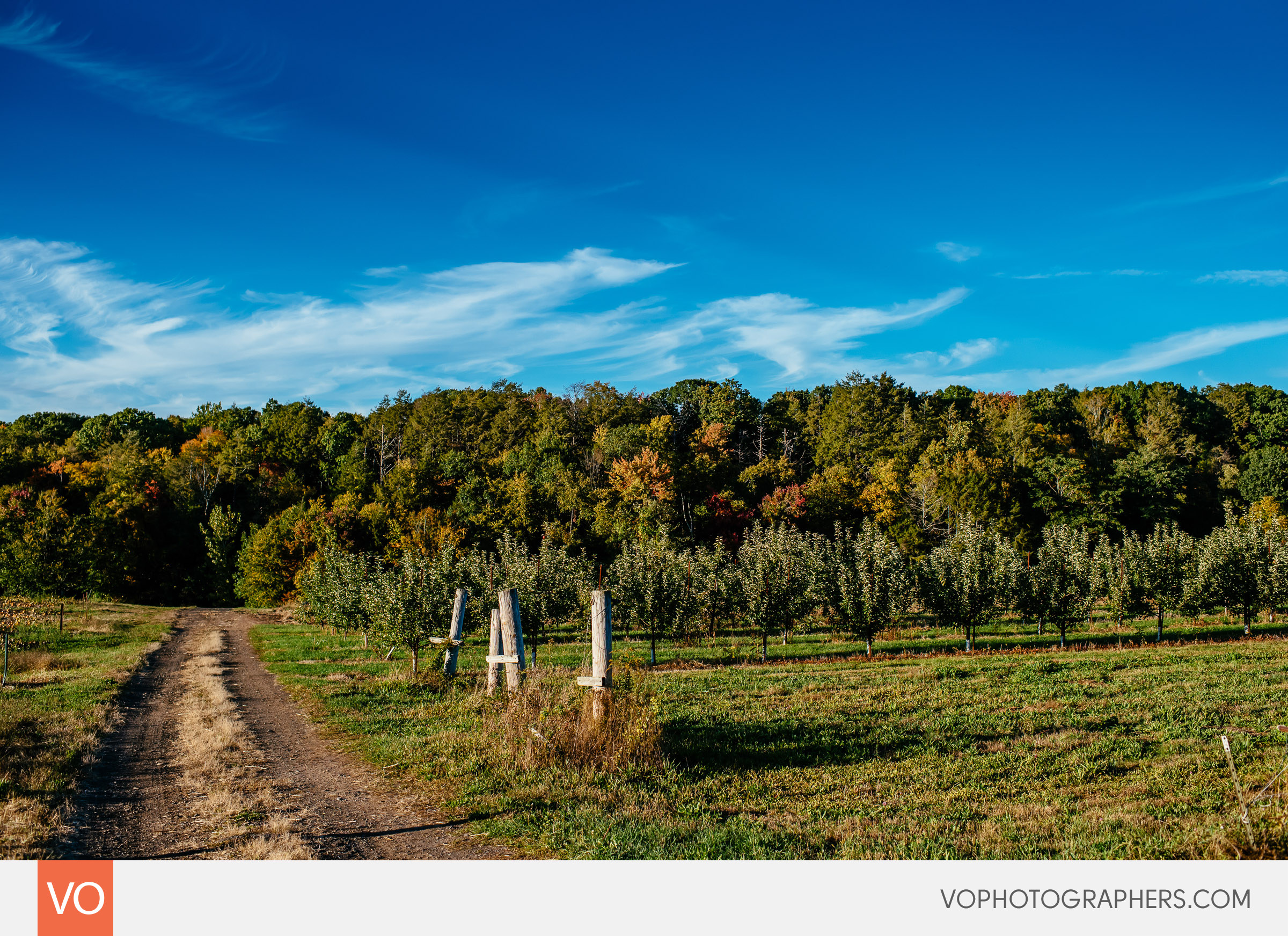 roses-berry-farm-glastonbury-engagement-0003