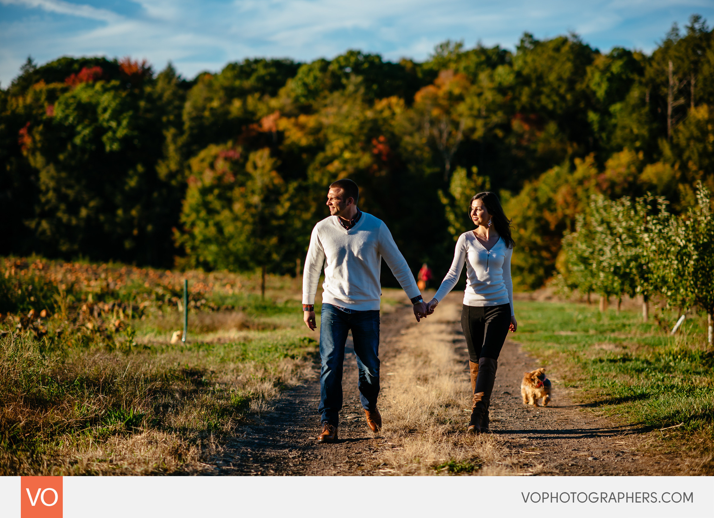 roses-berry-farm-glastonbury-engagement-0006