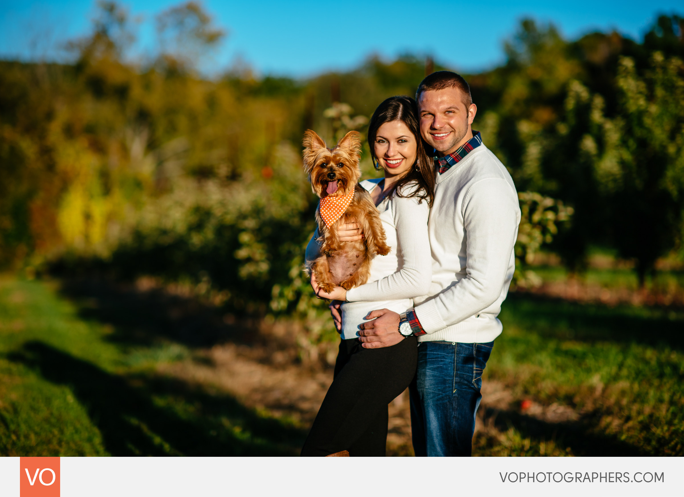 roses-berry-farm-glastonbury-engagement-0009