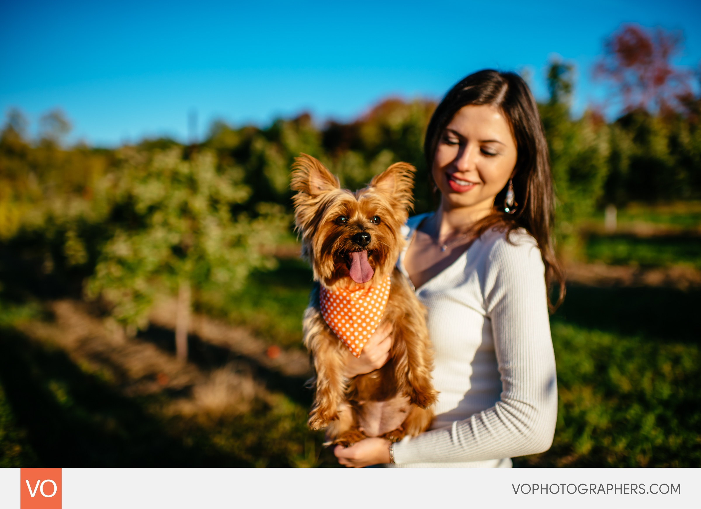 roses-berry-farm-glastonbury-engagement-0010