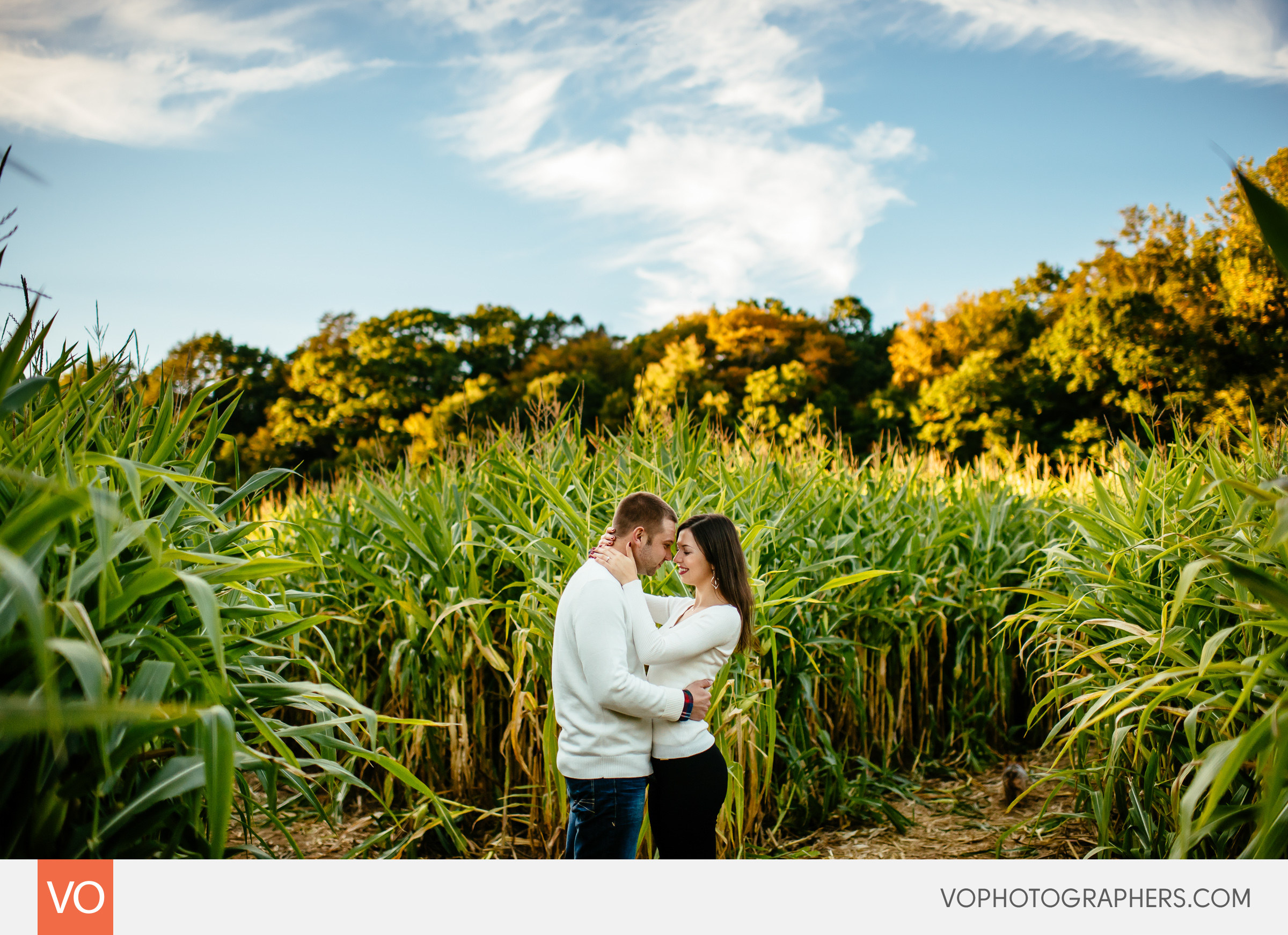 roses-berry-farm-glastonbury-engagement-0013