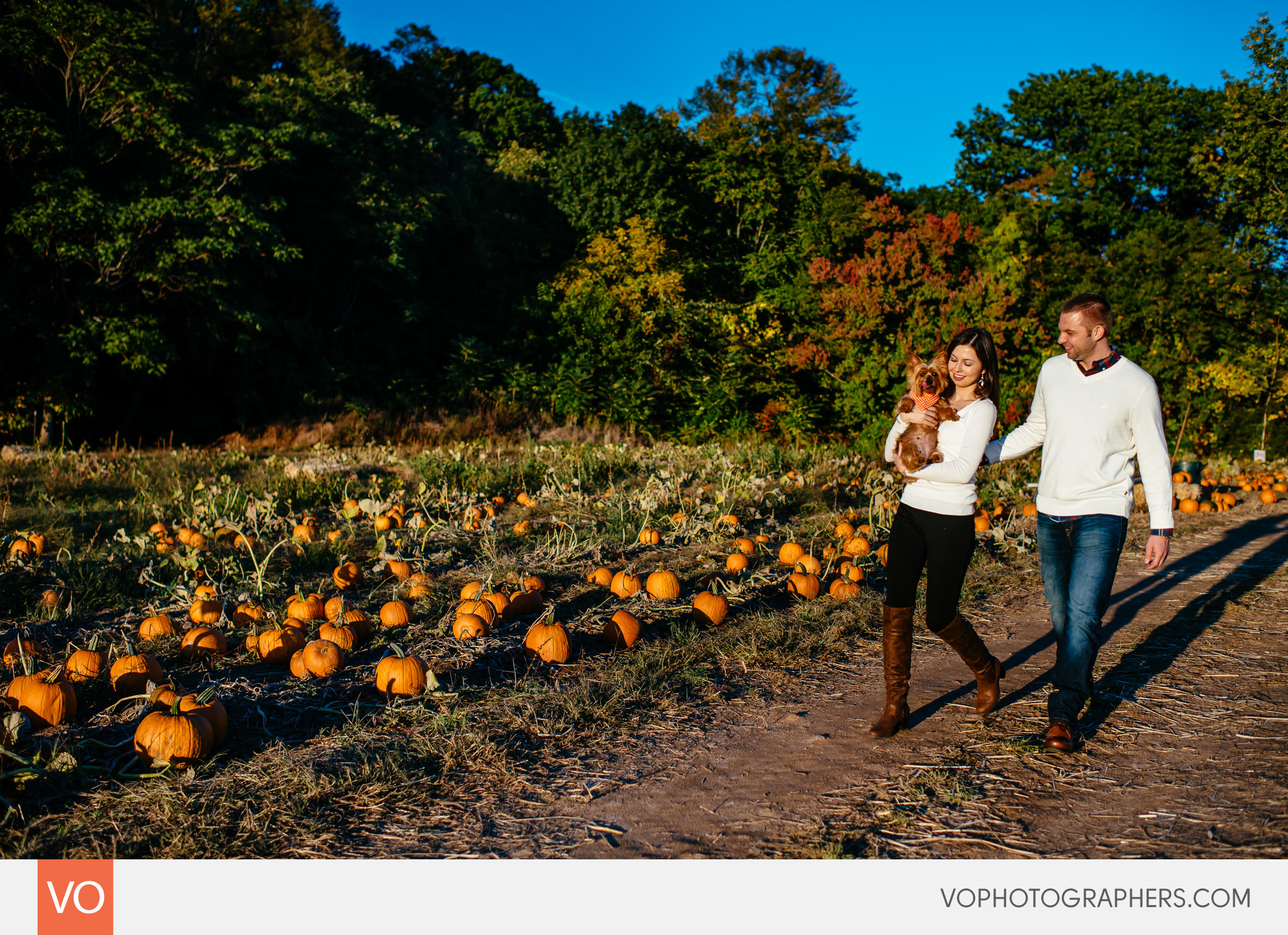 roses-berry-farm-glastonbury-engagement-0017