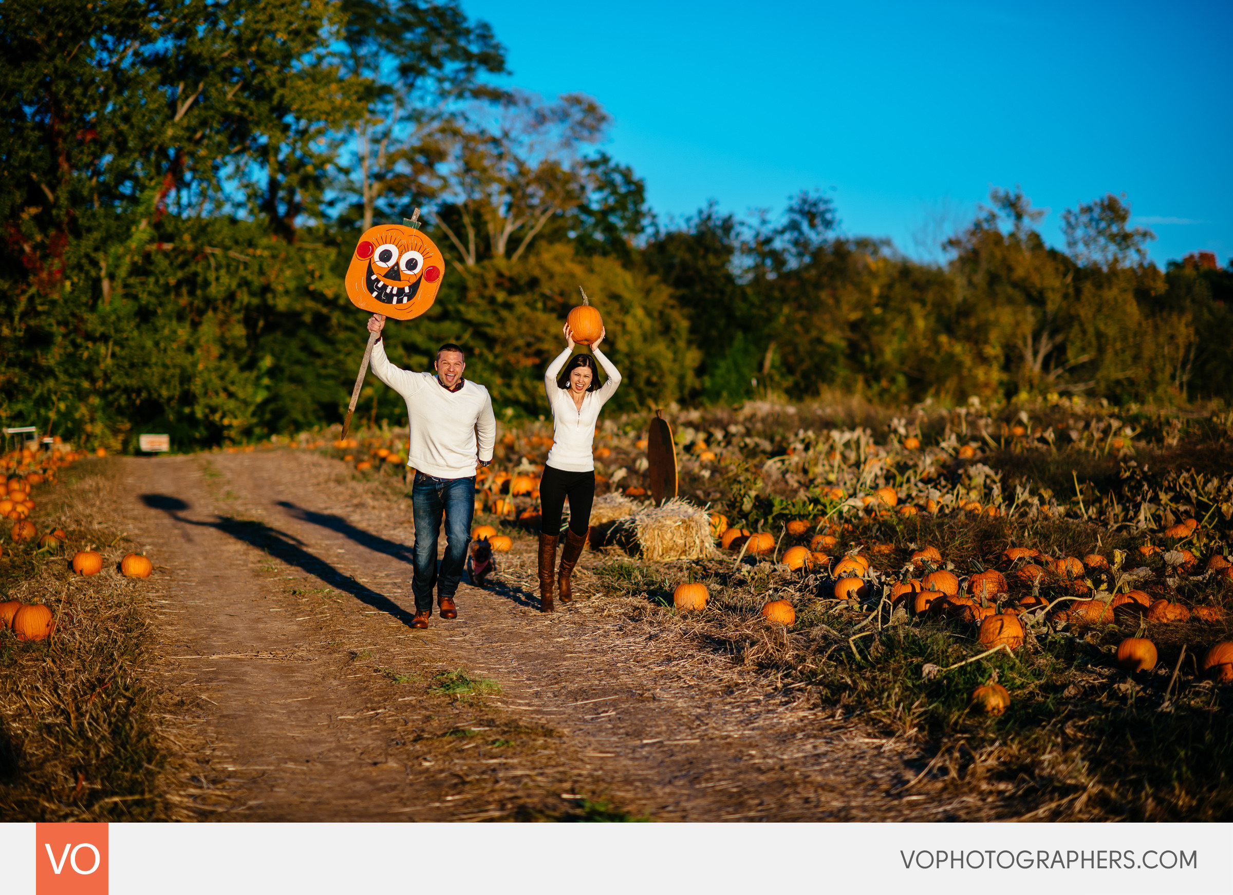 roses-berry-farm-glastonbury-engagement-0018