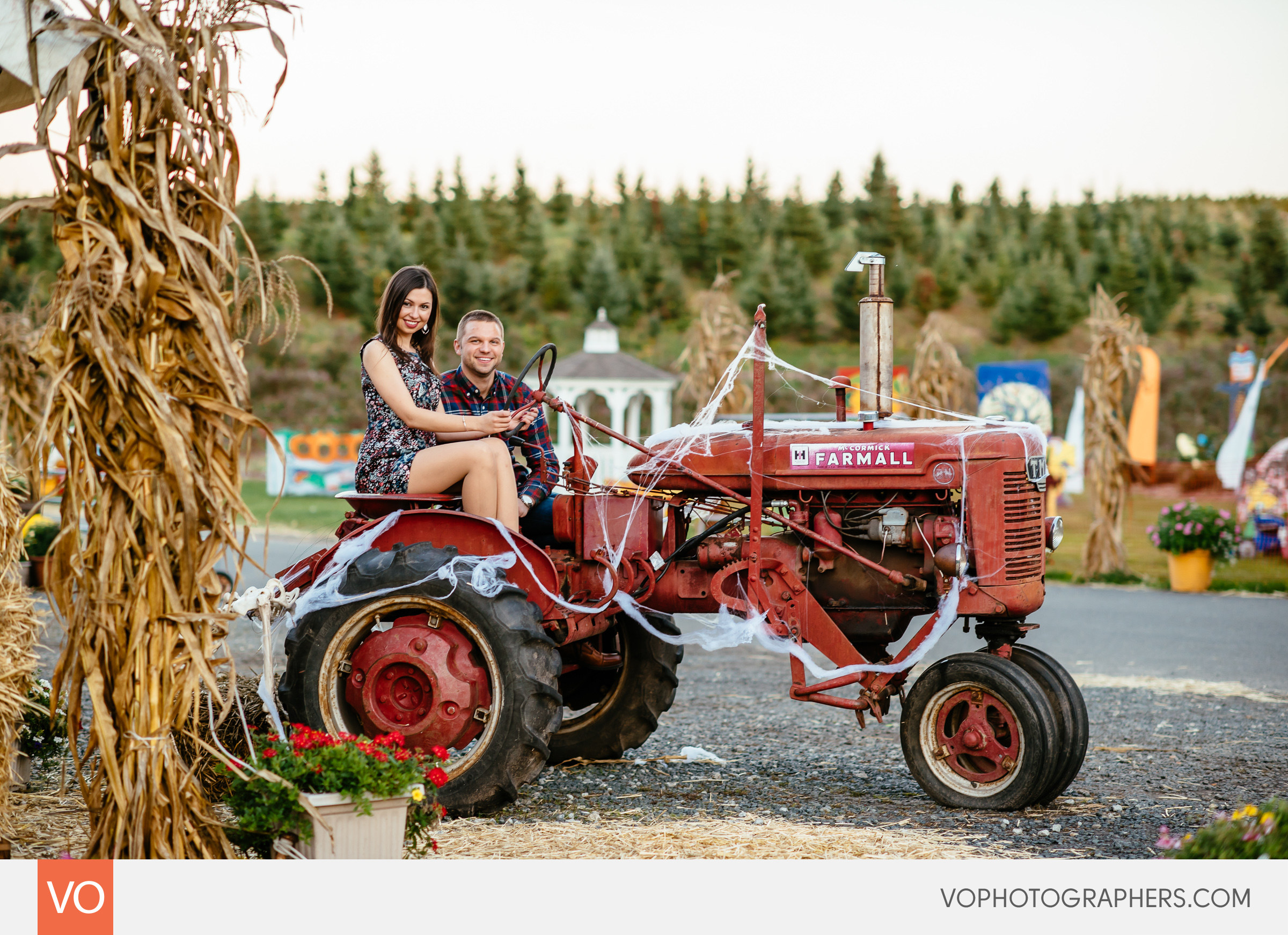 roses-berry-farm-glastonbury-engagement-0023