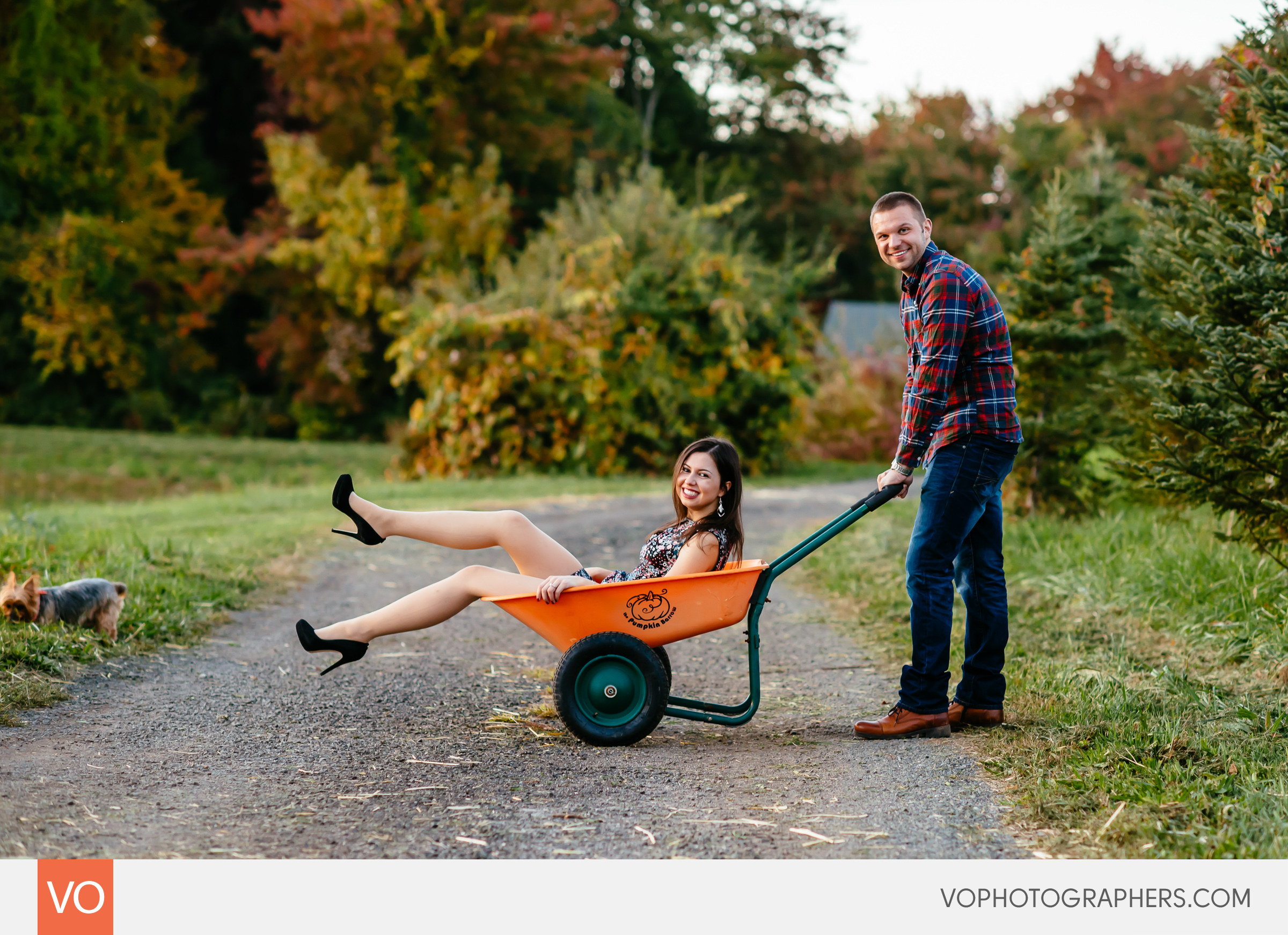 roses-berry-farm-glastonbury-engagement-0026