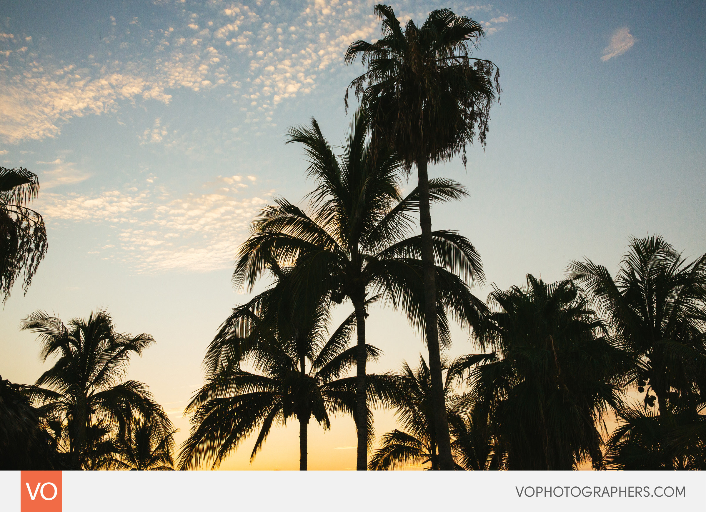 Rancho Leonero Cabo Destination Wedding Photography