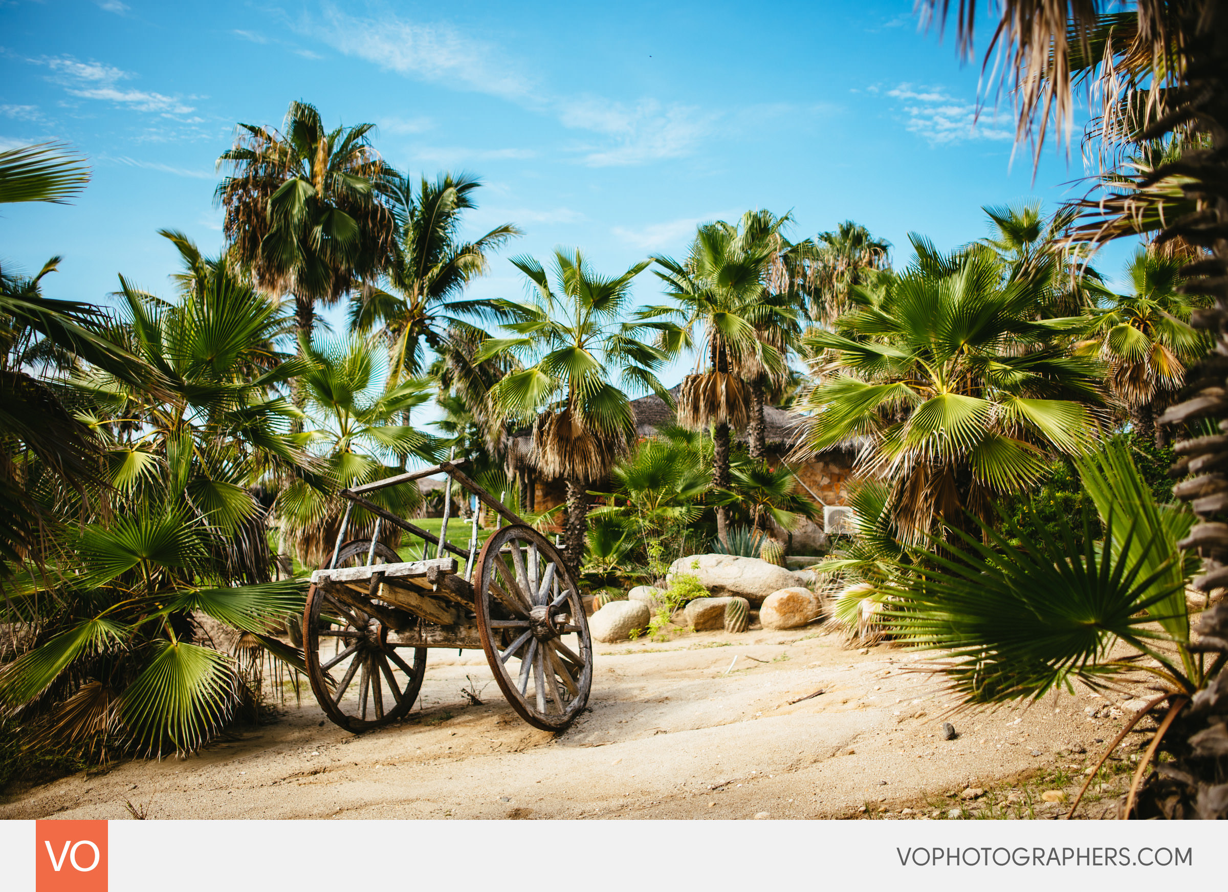Rancho Leonero Cabo Mexico Destination Wedding