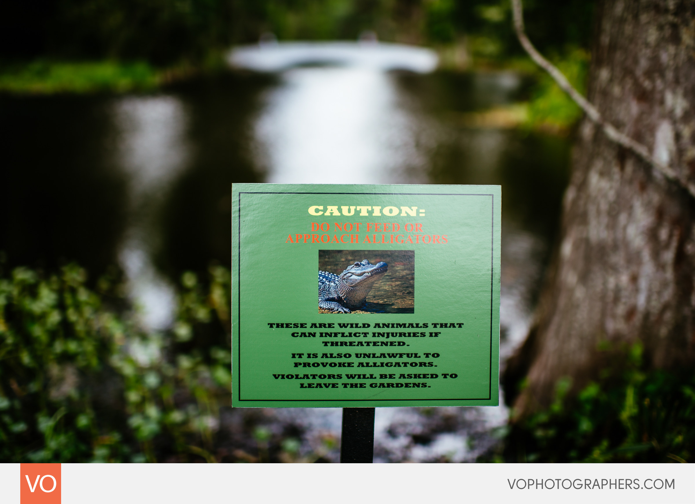 Magnolia Plantation South Carolina Wedding