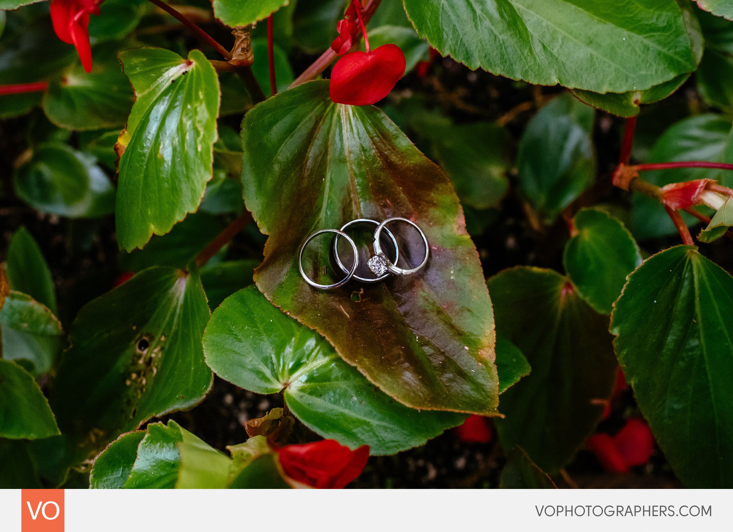 Magnolia Plantation South Carolina Wedding