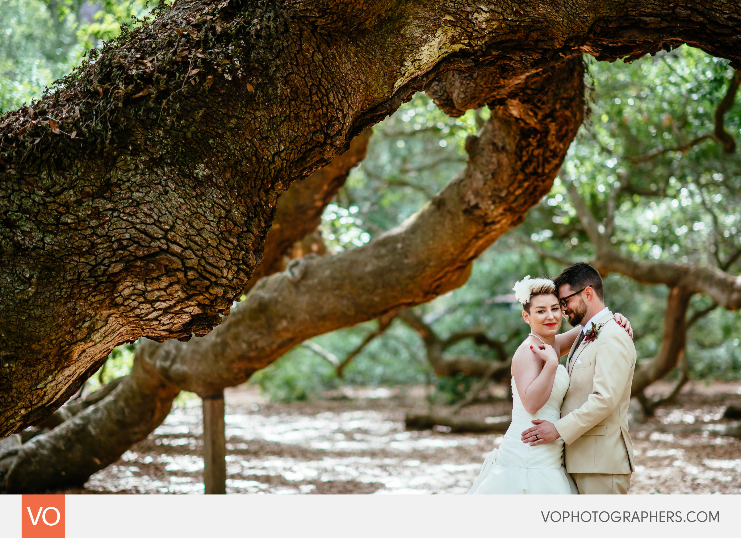 Magnolia Plantation South Carolina Wedding - Angel Oak