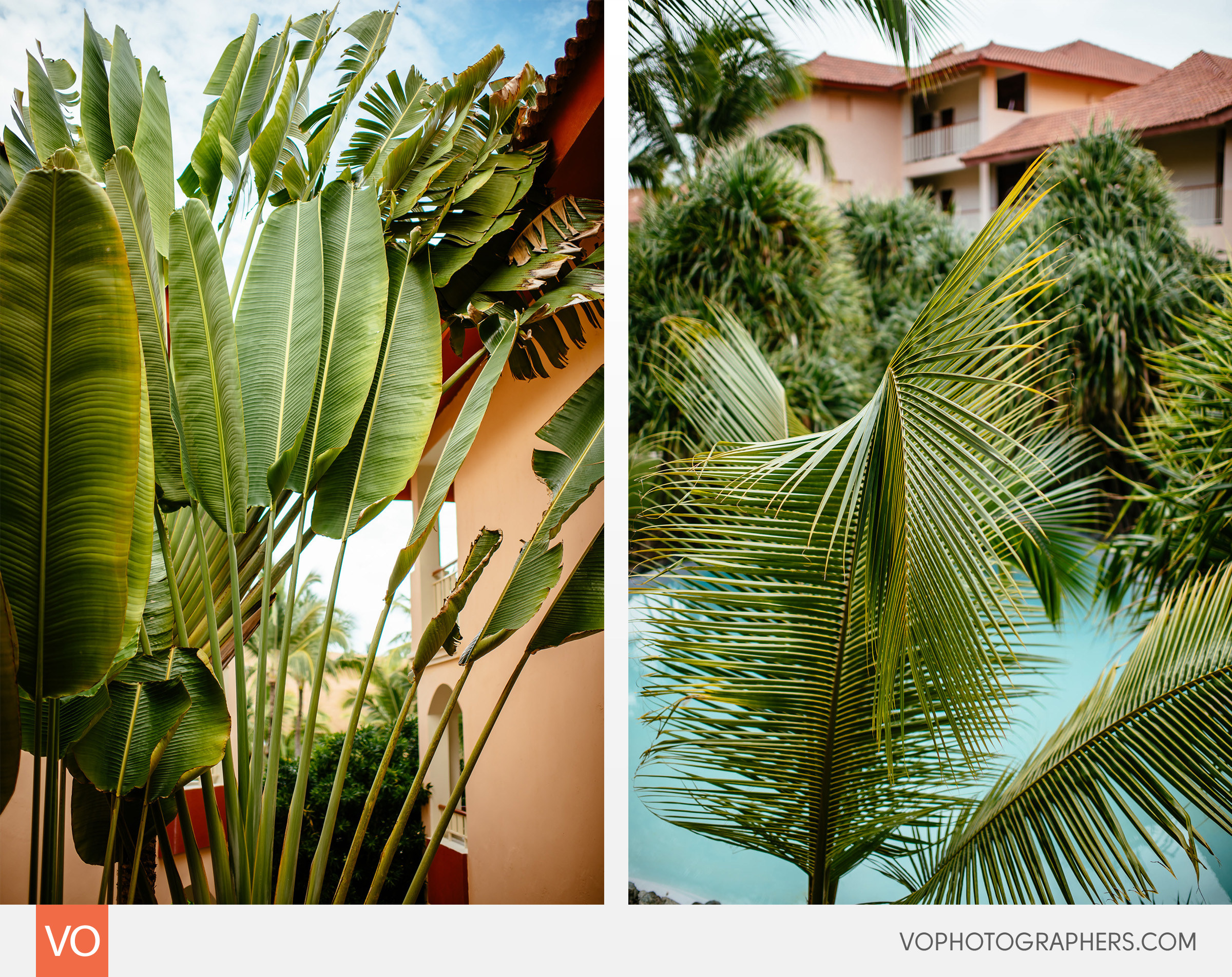 Majestic Colonial Punta Cana Dominican Republic Destination Wedding